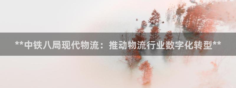 28圈注册问一问：**中铁八局现代物