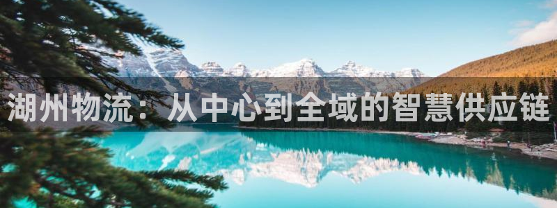 28圈预测网