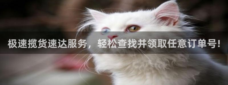 28圈下分了不给钱