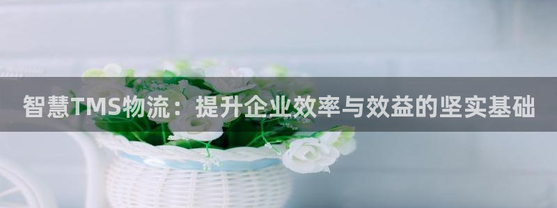 28圈加拿大6.0