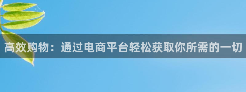 28圈官网版2024