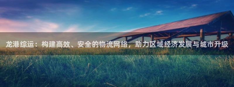 28圈是干嘛的:龙港综运:构建高效、