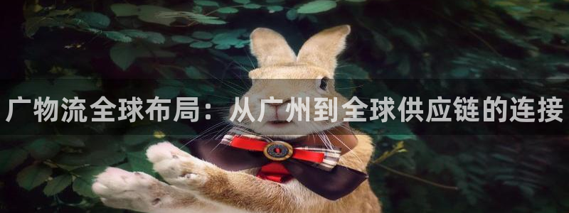 28圈ip被限制怎么解决:广物流全球