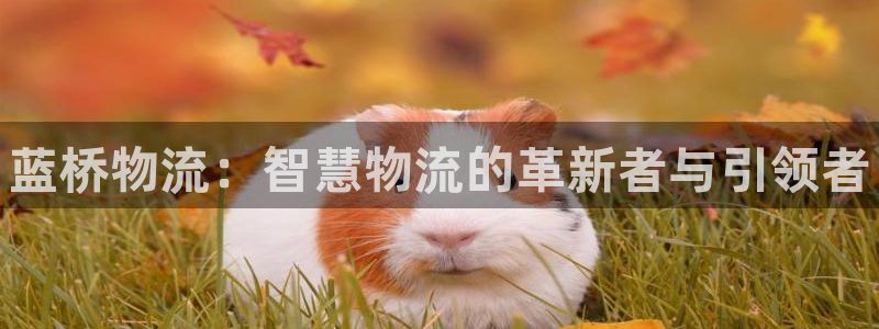 28圈昵称:蓝桥物流:智慧物流的革新