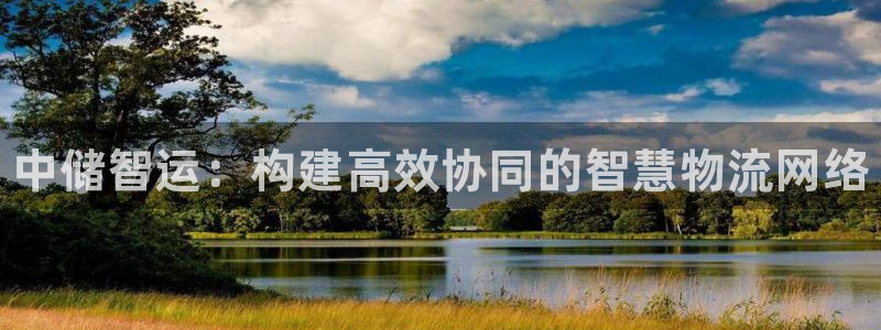 28圈如何看计划：中储智运：构建高效协同的智慧物流网络