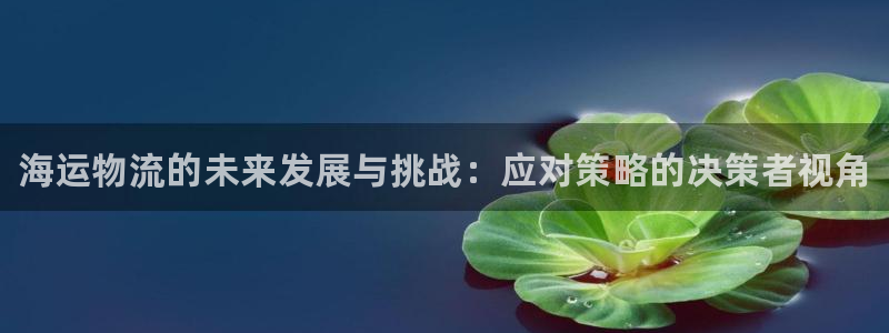 28圈预测加拿大师准:海运物流的未来