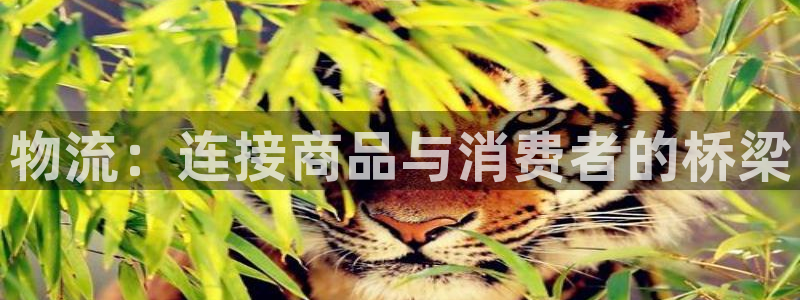 28圈注册登录流程:物流:连接商品与