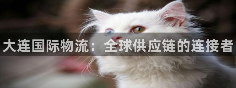 28圈充值不到账怎么回事:大连国际物