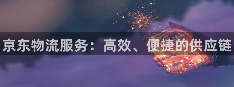 28圈是正规软件吗:京东物流服务:高