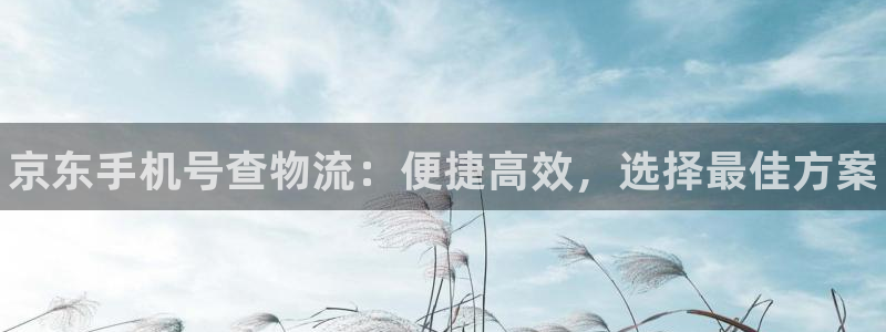 28圈软件堵什么反什么