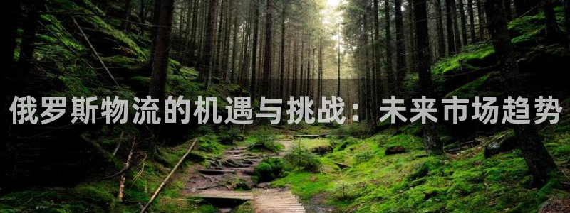 28圈.ccmo:俄罗斯物流的机遇与