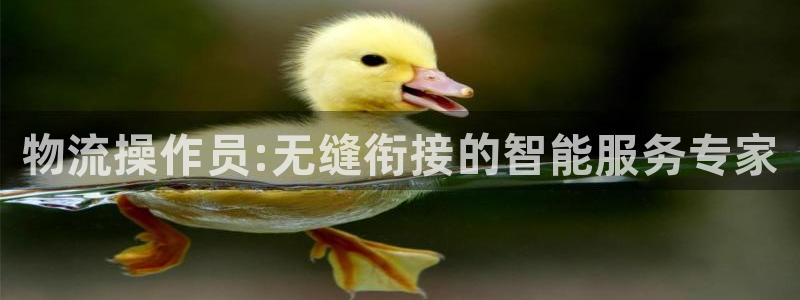 28圈登录不上咋回事：物流操作员:无