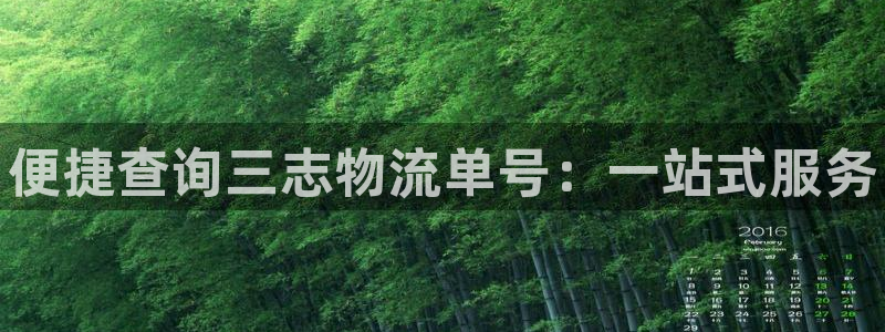 28圈平台注册：便捷查询三志物流单号