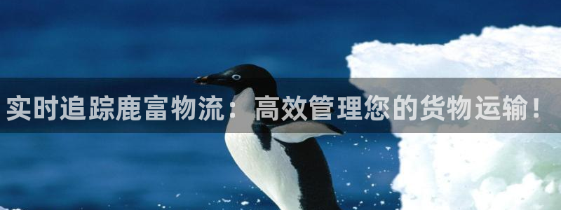 28圈登录流程:实时追踪鹿富物流:高