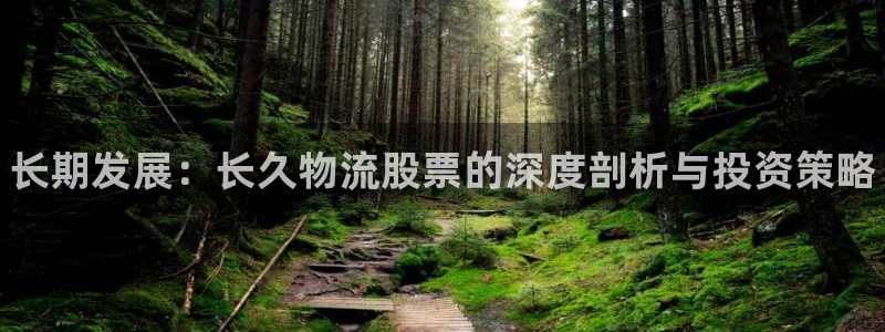 28圈加拿大预测:长期发展:长久物流