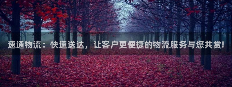 28圈PG电子游戏:速通物流:快速送