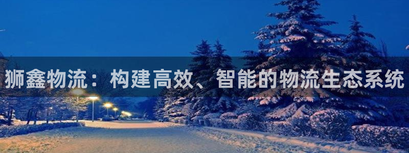 28圈预测加拿大师准：狮鑫物流：构建
