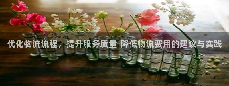 28圈客服一直不回消息怎么办:优化物
