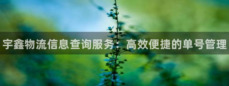28圈注册链接入口：宇鑫物流信息查询服务：高效便捷的单号管理