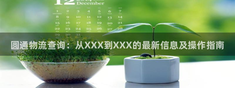 28圈是正规平台吗